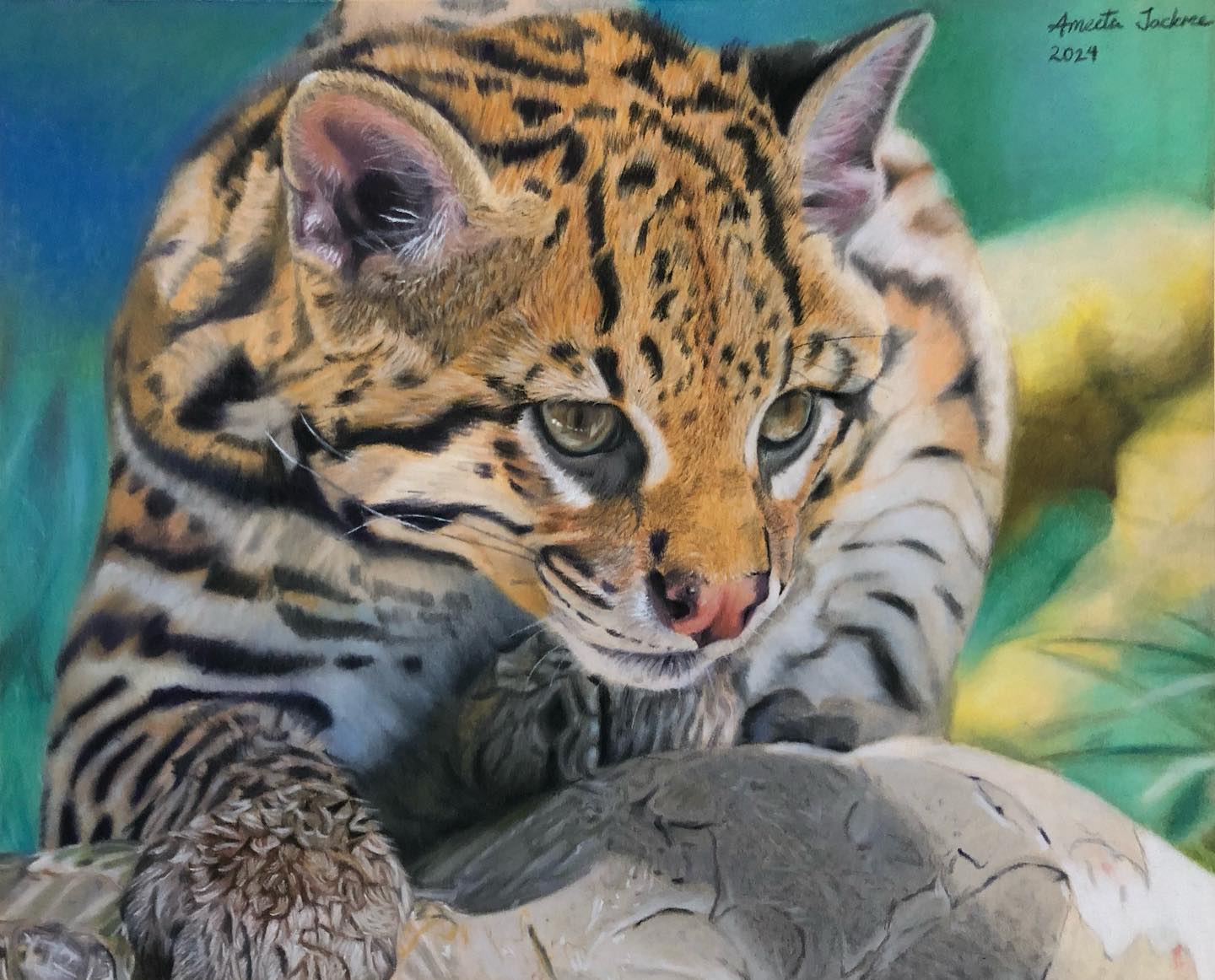 Scarlet macaw artwork by Ameeta Jackree